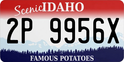 ID license plate 2P9956X
