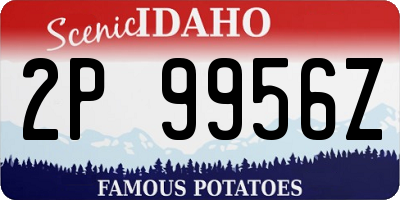 ID license plate 2P9956Z