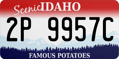 ID license plate 2P9957C