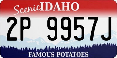 ID license plate 2P9957J