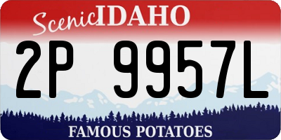 ID license plate 2P9957L