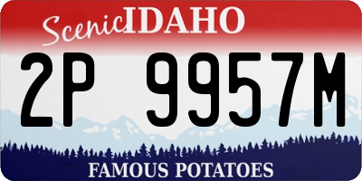 ID license plate 2P9957M