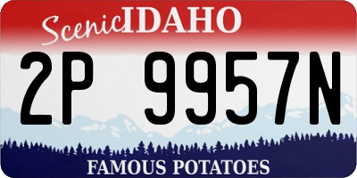 ID license plate 2P9957N