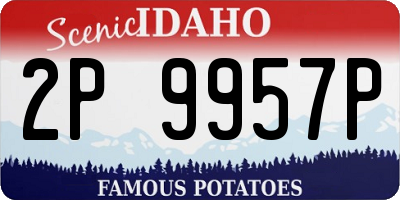 ID license plate 2P9957P