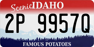 ID license plate 2P9957Q