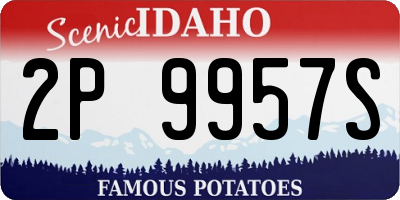 ID license plate 2P9957S