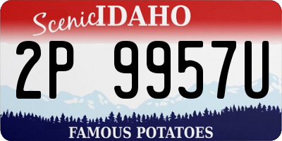 ID license plate 2P9957U