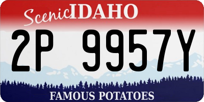ID license plate 2P9957Y