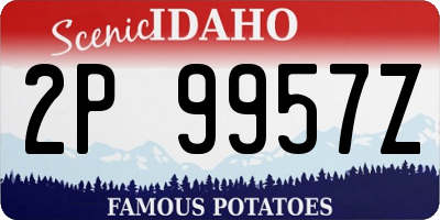 ID license plate 2P9957Z