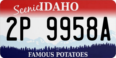 ID license plate 2P9958A