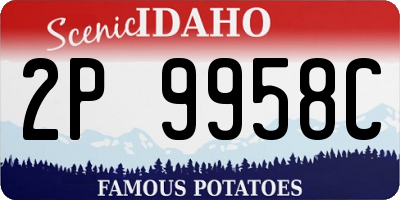 ID license plate 2P9958C