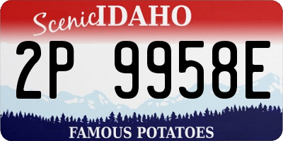 ID license plate 2P9958E