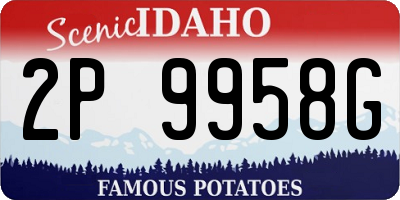 ID license plate 2P9958G