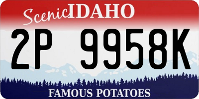 ID license plate 2P9958K