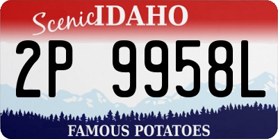 ID license plate 2P9958L