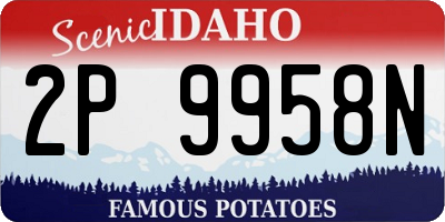 ID license plate 2P9958N