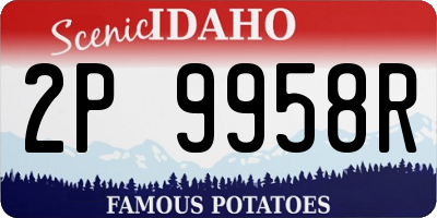 ID license plate 2P9958R
