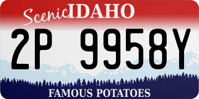 ID license plate 2P9958Y