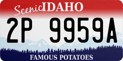 ID license plate 2P9959A