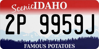 ID license plate 2P9959J