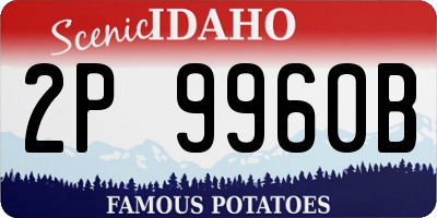 ID license plate 2P9960B