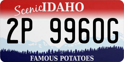 ID license plate 2P9960G