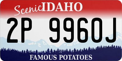 ID license plate 2P9960J