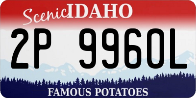 ID license plate 2P9960L