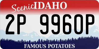 ID license plate 2P9960P