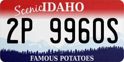 ID license plate 2P9960S