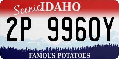 ID license plate 2P9960Y