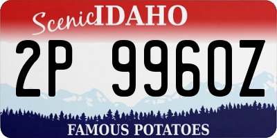 ID license plate 2P9960Z