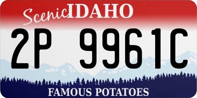 ID license plate 2P9961C