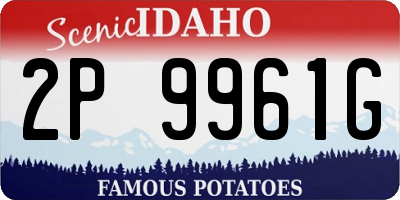 ID license plate 2P9961G