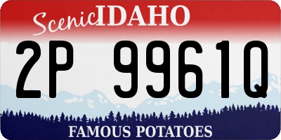 ID license plate 2P9961Q