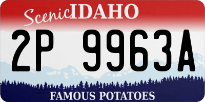 ID license plate 2P9963A