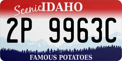 ID license plate 2P9963C