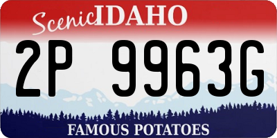 ID license plate 2P9963G