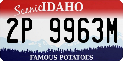 ID license plate 2P9963M