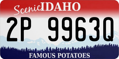 ID license plate 2P9963Q