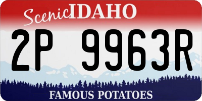 ID license plate 2P9963R