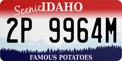 ID license plate 2P9964M