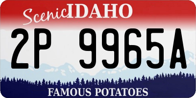 ID license plate 2P9965A