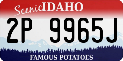 ID license plate 2P9965J