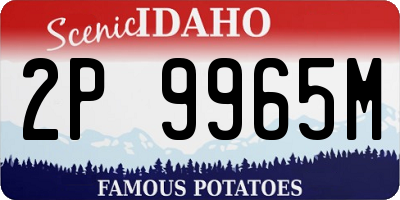 ID license plate 2P9965M