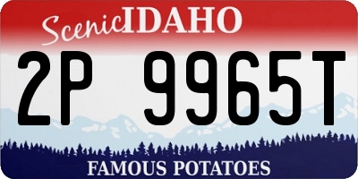 ID license plate 2P9965T