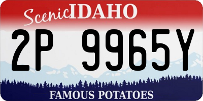 ID license plate 2P9965Y