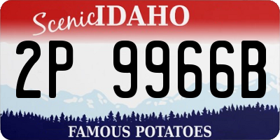 ID license plate 2P9966B