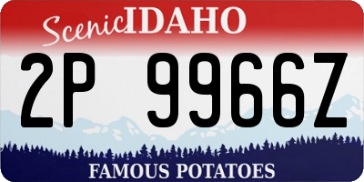 ID license plate 2P9966Z