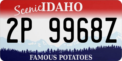 ID license plate 2P9968Z